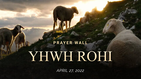 4/27/22 Prayer Wall: YHWH ROHI