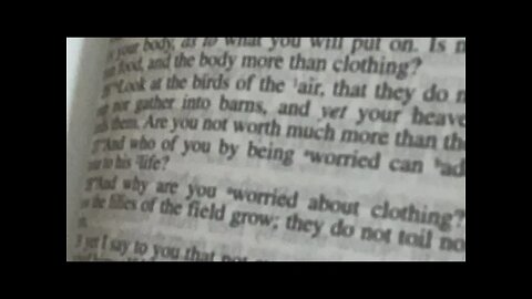Sermon on the Mount: Matt. 6:25-34