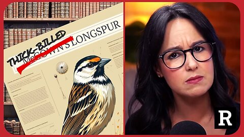 Birds are RACIST? WTF???