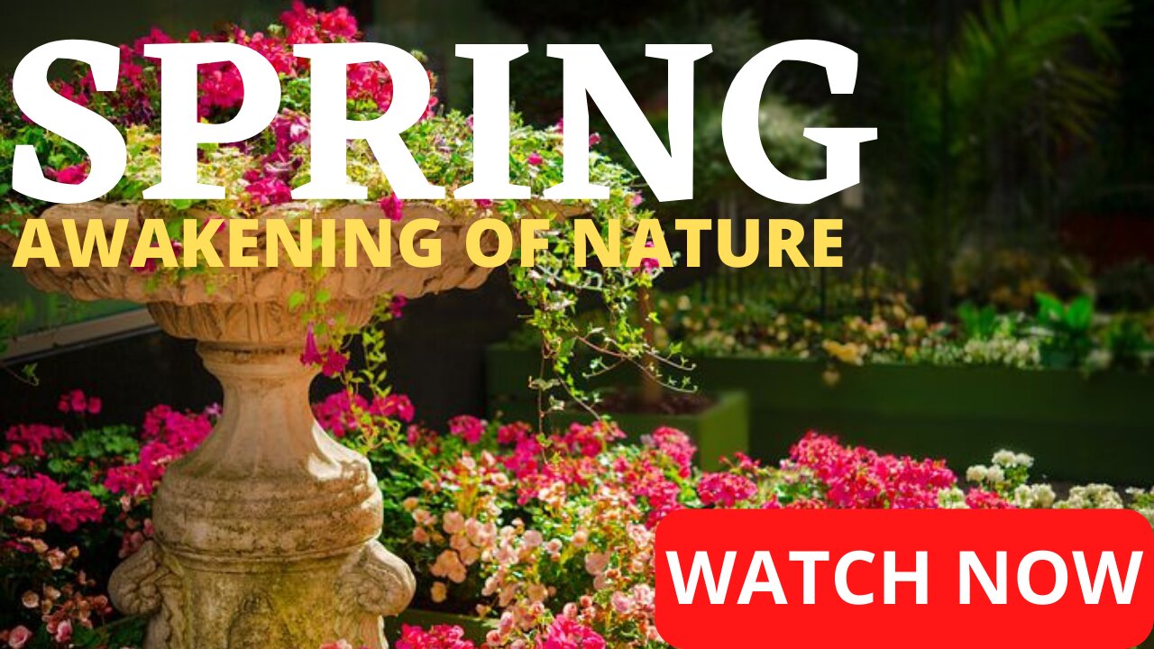 Spring - Awakening of Nature | An Amazing Scenic Video with light Piano Sounds | UltraHD 4K