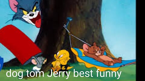 Dog tom and Jerry funny best