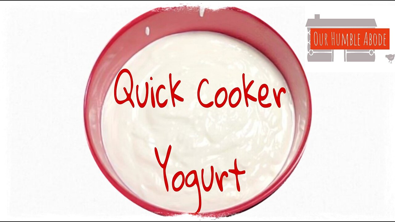 Quick Cooker Homemade Yogurt