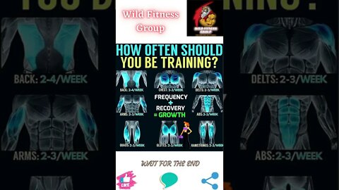 🔥How often should you be training🔥#shorts🔥#wildfitnessgroup🔥23 July 2022🔥