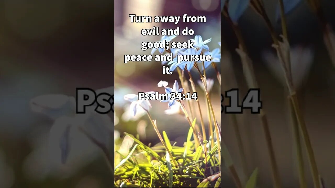 TURN FROM EVIL AND SEEK PEACE! | CHRISTIAN BIBLE VERSES | Psalm 34:14