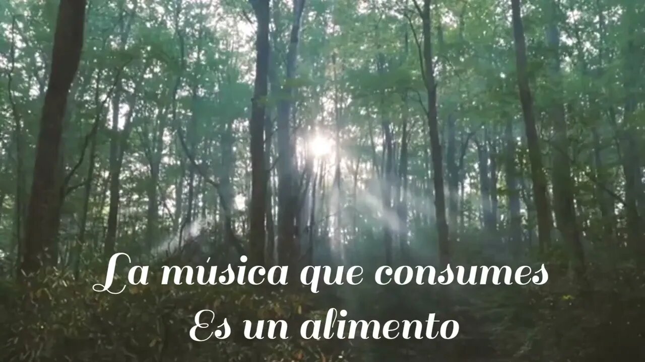 La música es un alimento para el alma