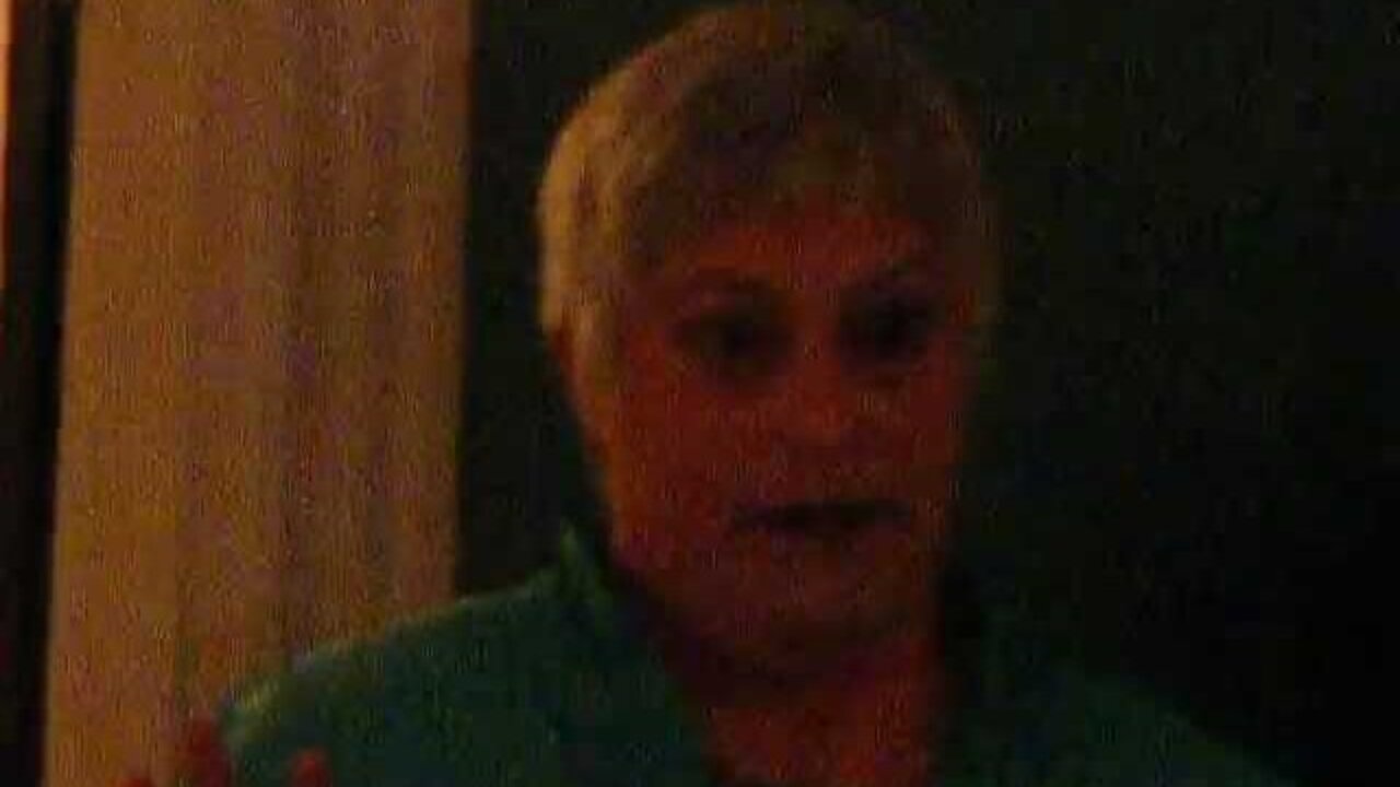 Elizabeth Childs (R-ma-4) Meet and Greet the pitch.AVI