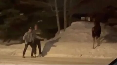 "Karma in Action: Instant Justice Compilation"