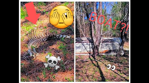 🔞SKELETAL REMAINS IN THE WOODS?!!🔞