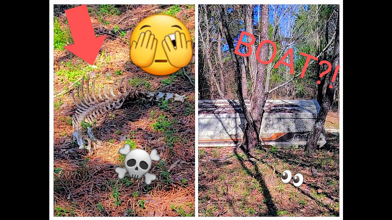🔞SKELETAL REMAINS IN THE WOODS?!!🔞