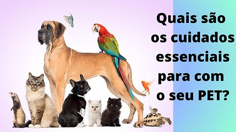 Cuidados essenciais para com o seu PET para mantê-lo saudável!