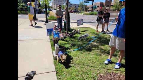 Paws in the Park promises fun for you and your four-legged companion this weekend