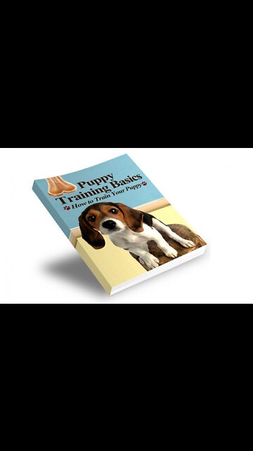 Trainner ebook basic dog