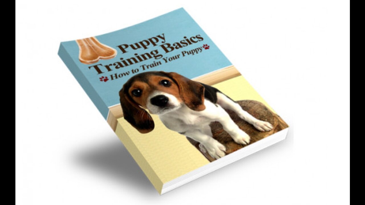 Trainner ebook basic dog