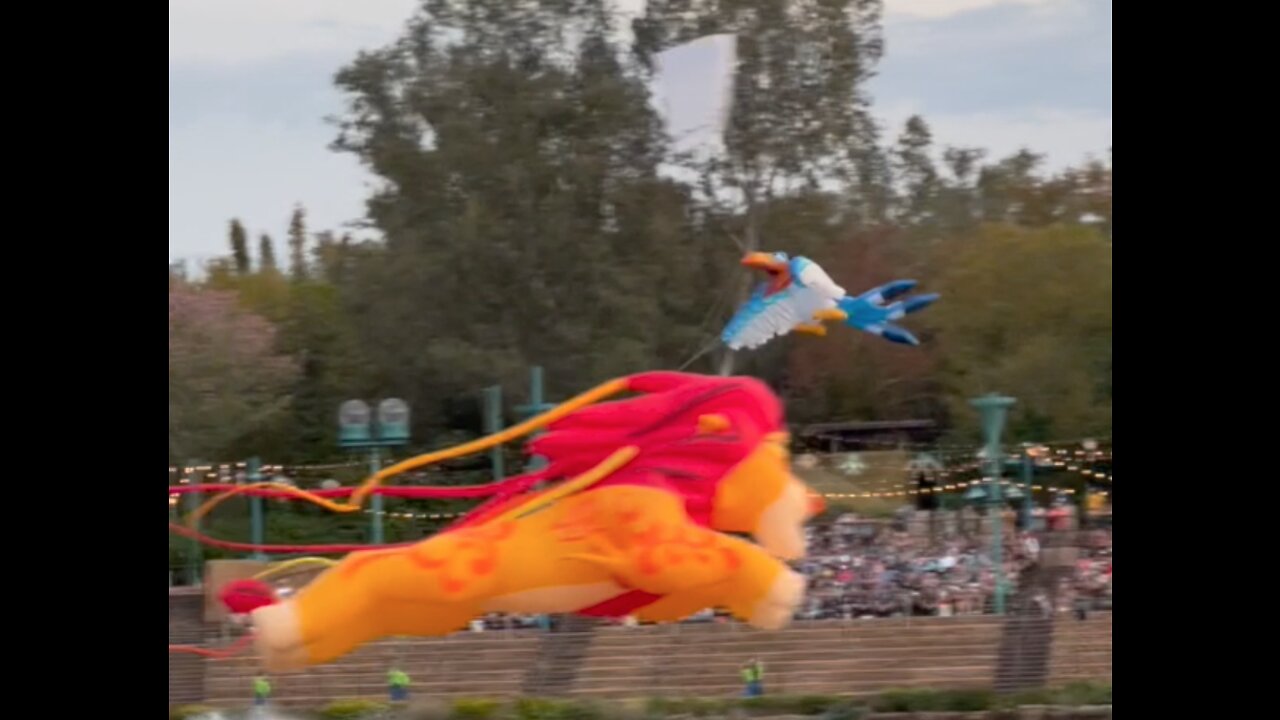 Wat Disney World Animal Kingdom Lion King Kite Show #shorts