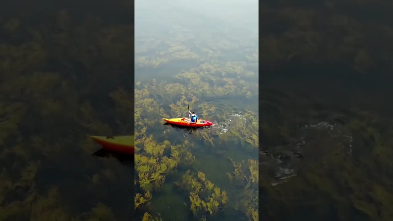 Kayaking in Canada is so much fun