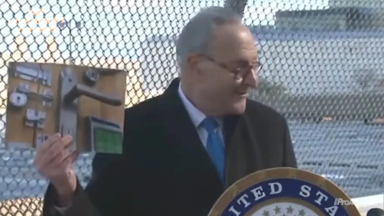 Schumer blames "Mitch McConnell's wife" for blocking NYC project.