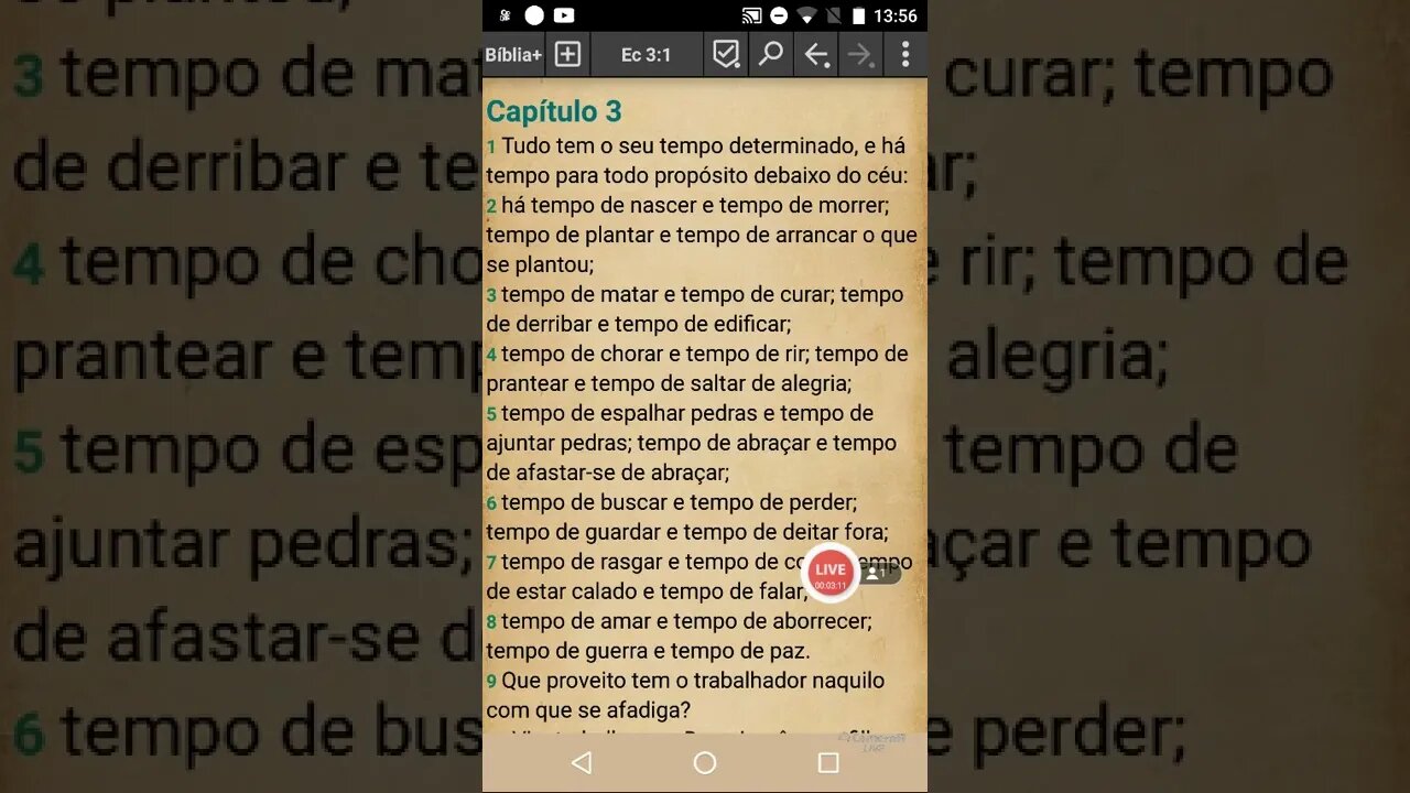 Palavra do Dia Abençoada — Deus é quem determina o tempo