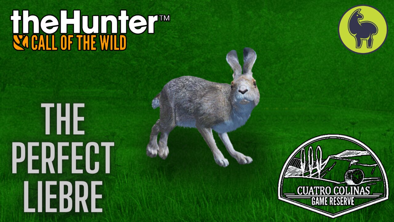 The Perfect Liebre, Cuatro Colinas | theHunter: Call of the Wild (PS5 4K)