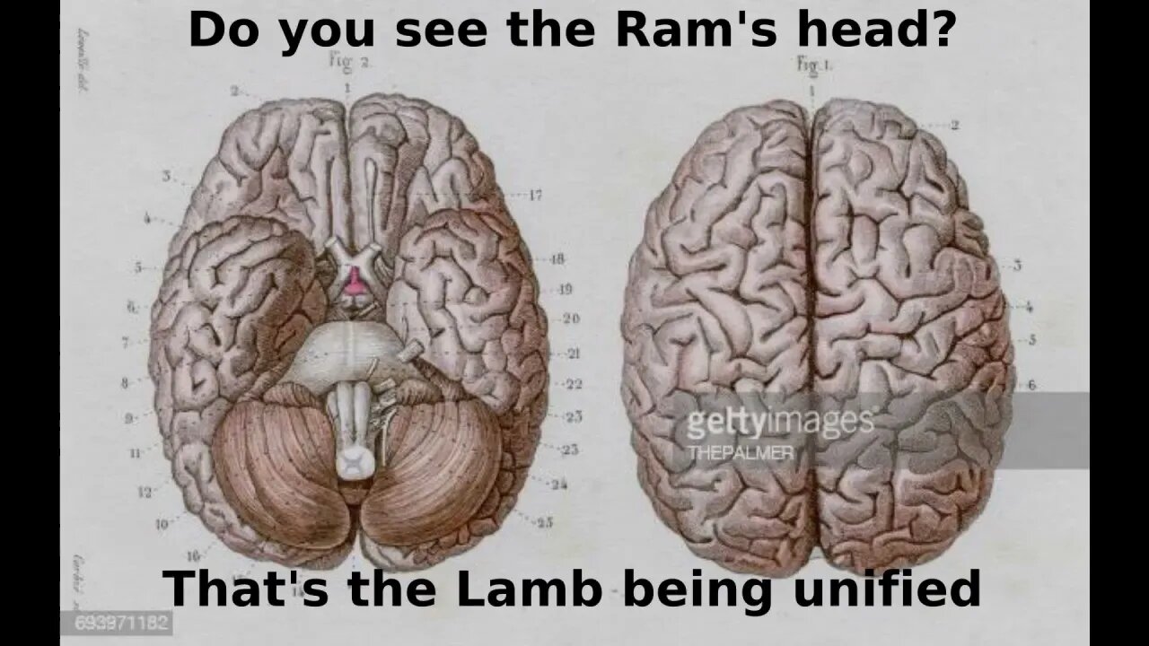 Soul Speak #49 (Dec 22/20) The Marriage Supper of the Lamb, on Sheep and Goats - Divided Minds. 🐏 🐐