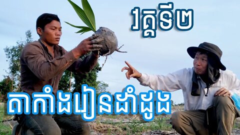 តាកាំងរៀនដាំដូងវគ្គទី២ / តាកាំងដាំដូងបាន៤៥ថ្ងៃហើយ (December 18, 2020)