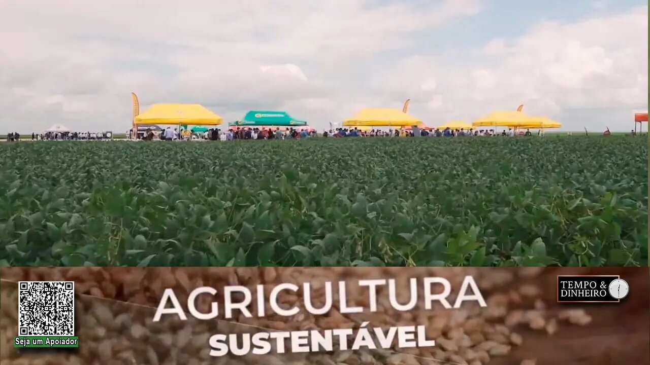 No Dia de Campo da Fazenda Progresso FT Sementea apresenta suas cultivares para o NE brasileiro