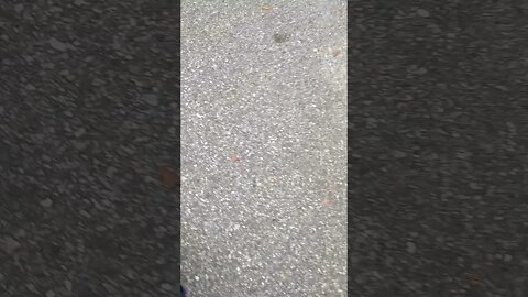 This narcissistic Gang Stalker followed me to confront me again, + more Gang Stalking