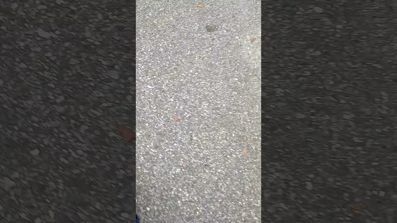 This narcissistic Gang Stalker followed me to confront me again, + more Gang Stalking