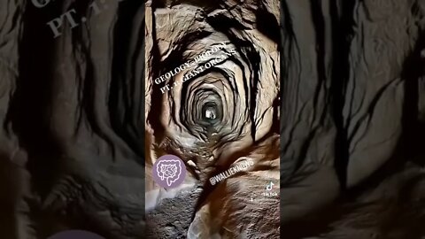 Geology= Biology Part 1