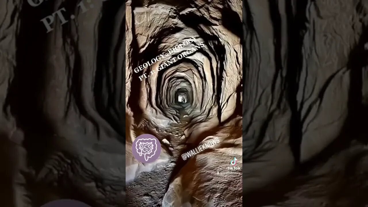 Geology= Biology Part 1