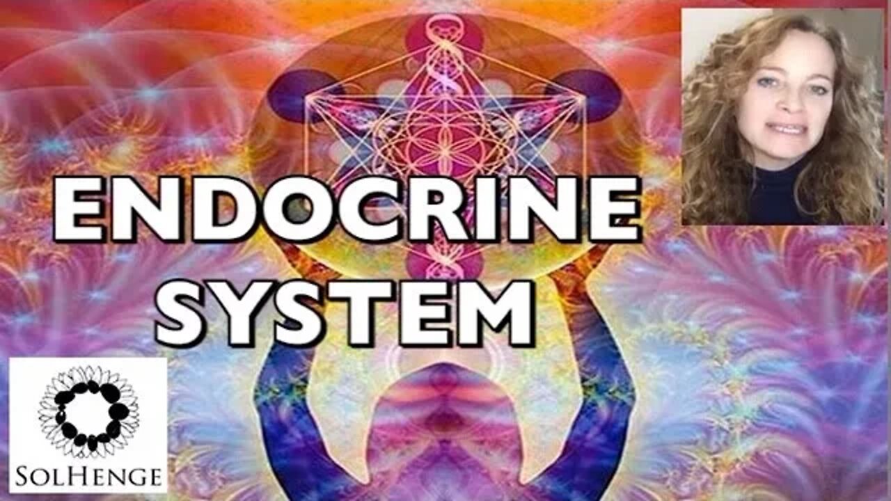 Meditation. HEAL THYSELF- BODY MASTERY- Ep 3 Endocrine system