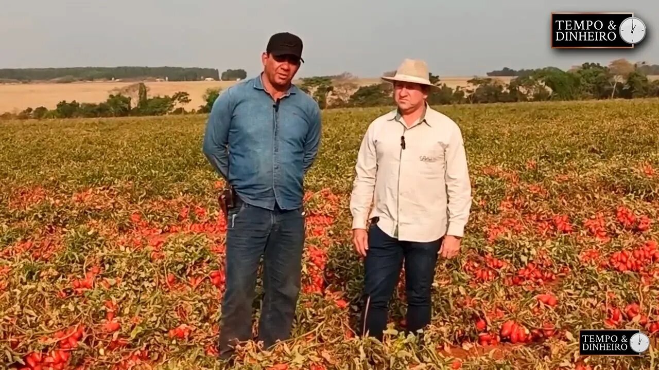 Agricultura Sustentável - com Frederico Olivi