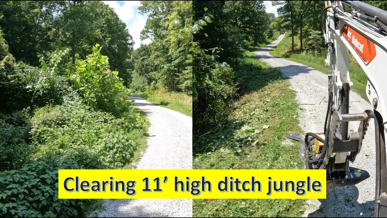 Clearing 11' jungle with mini excavator brush cutter