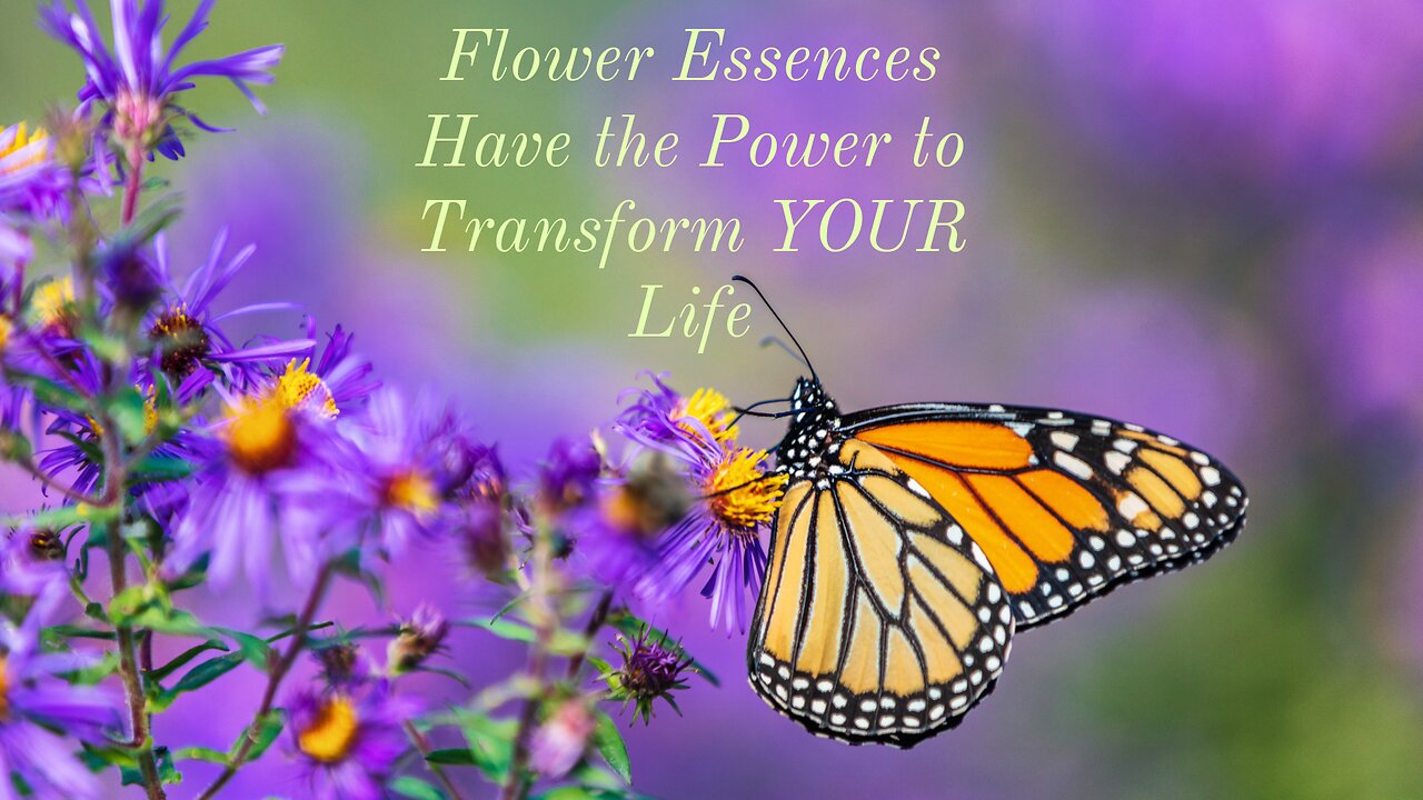 Rabbitbrush - Flower Essence Services