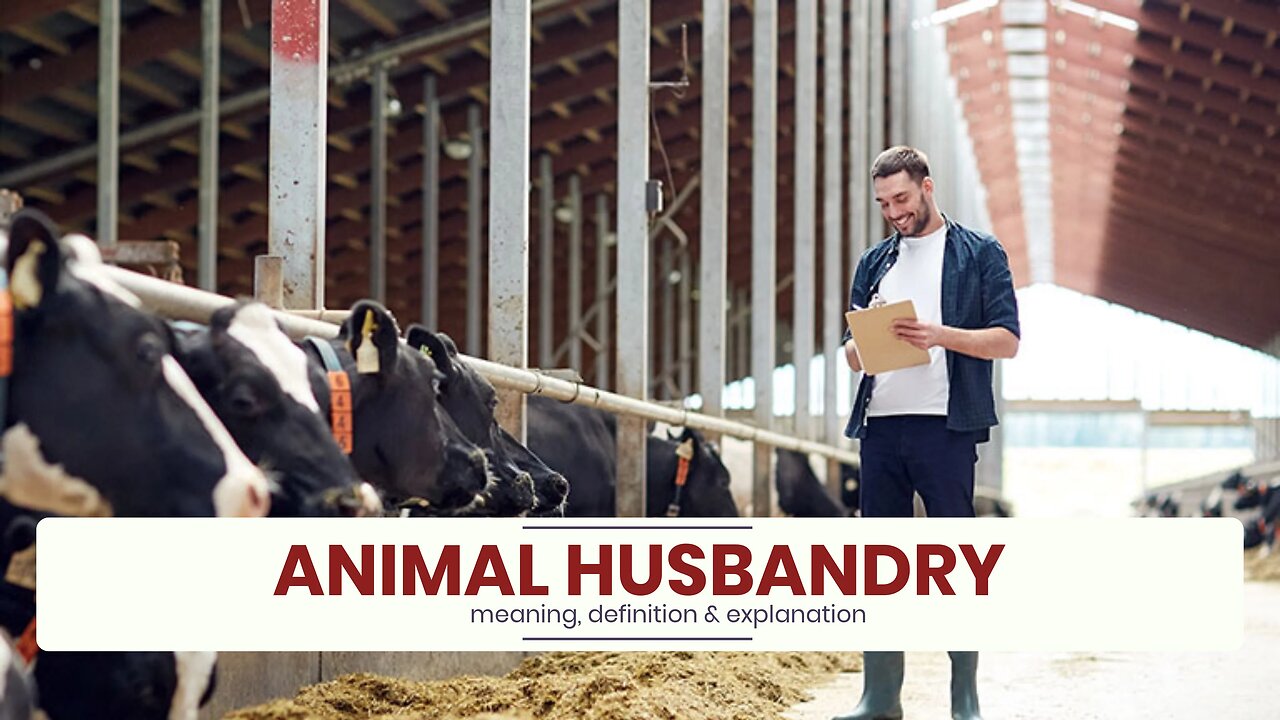 What is ANIMAL HUSBANDRY?