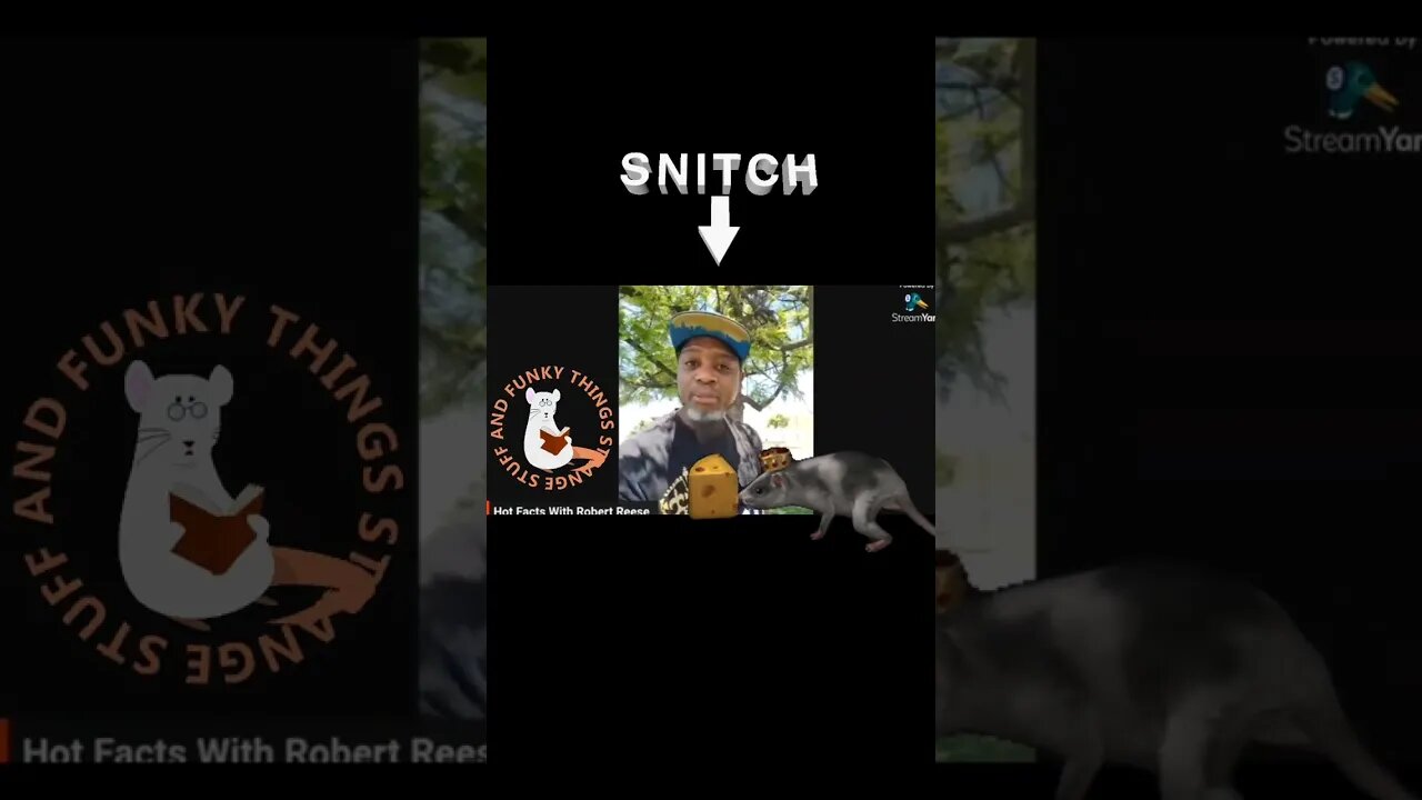 IRL Rat Robert Reese DO NOT Have Any Personal Conversations With This RAT #gignews #news