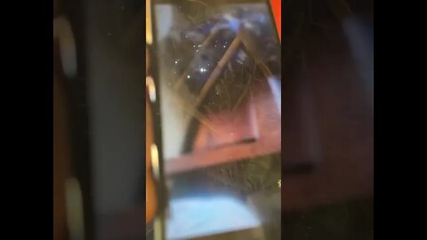 WEALLA, Margibi -Allegation of sodomy involving a 7 year old boy & Coach Clarke.+231-888-778-765 mom