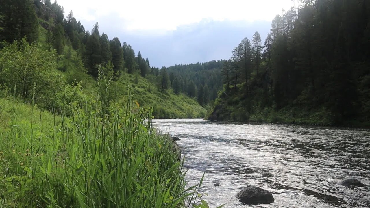 1 hour of relaxing river sounds & light movement from Idaho's Henry's Fork river.