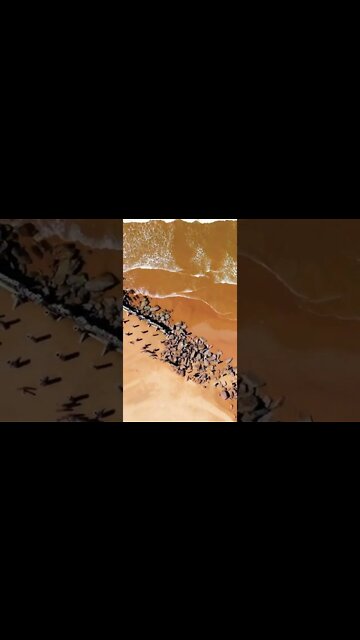 Flying above waves on the beach