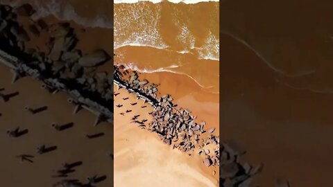 Flying above waves on the beach