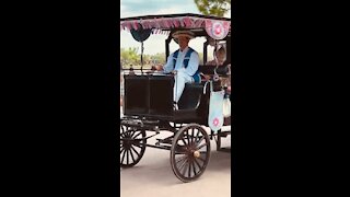 Disney Epcot Princess Cavalcade
