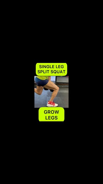 GROW LEGS || BULGARIAN SPLIT SQUAT #shorts #youtubeshorts