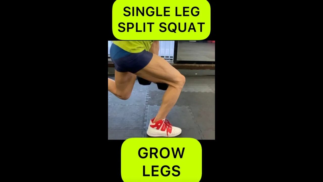 GROW LEGS || BULGARIAN SPLIT SQUAT #shorts #youtubeshorts