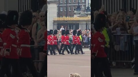 The Queen's Guards from Clarence house #horseguardsparade