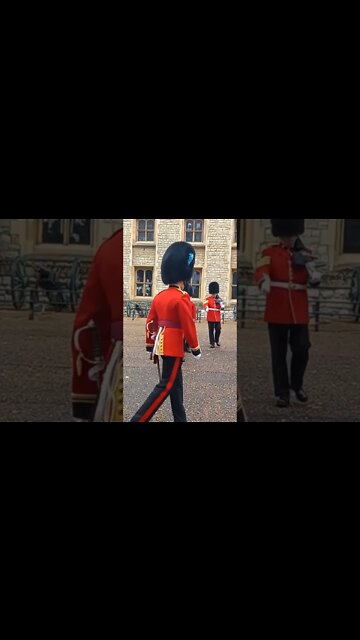 irish guards salute #horseguardsparade