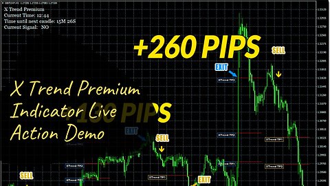 X Trend Premium Indicator Live Action Demo