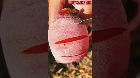 Best Oddly Satisfying Video for Stress Relief #Shorts #oddlysatisfying #relaxing #asmr(2)