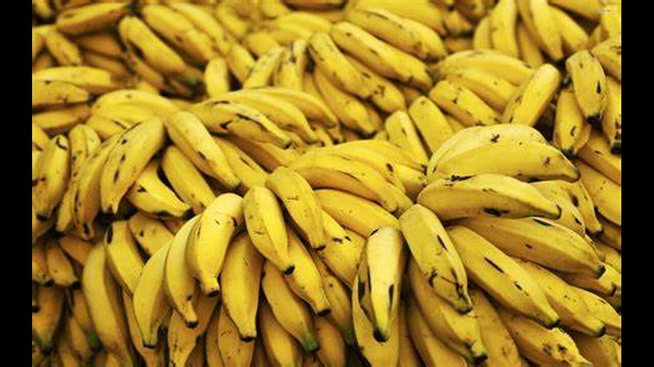 THE MOST EXPENSIVE BANANA'S IN SAN FRANCISCO