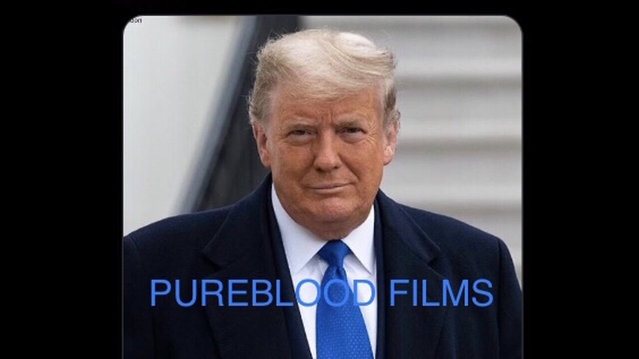 TRUMP - PUREBLOOD FILMS