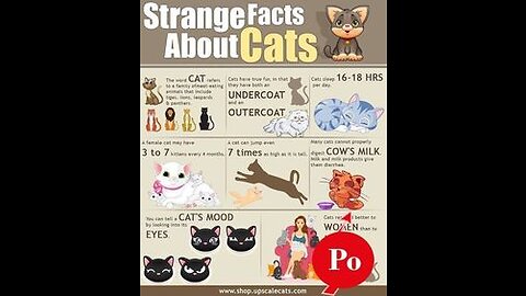 Learn new and unknown facts about cats nature 🧐😱😱