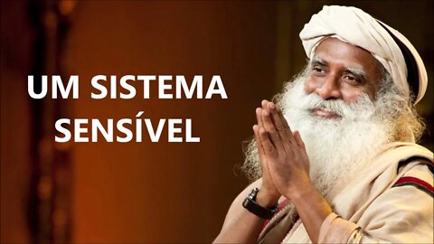 UM SISTEMA SENSÍVEL, SADHGURU DUBLADO